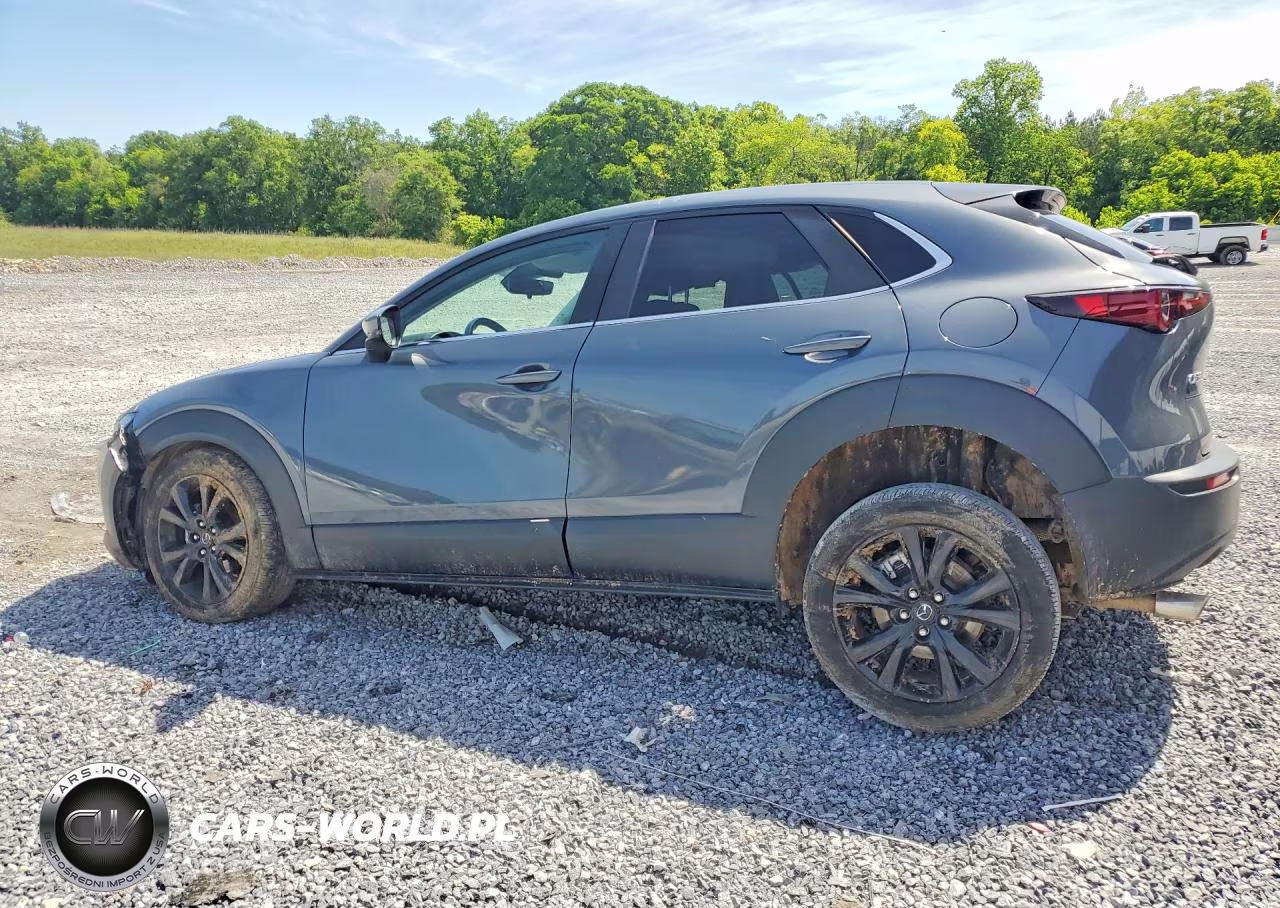 2022 Mazda Cx-30 Preferred VIN:3MVDMBCL7NM400731 - 2