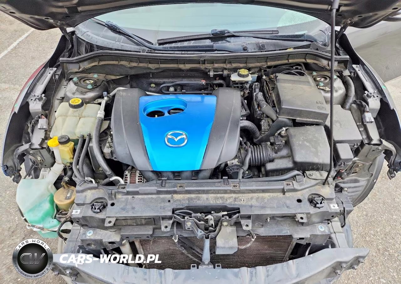 2013 Mazda 3 I VIN:JM1BL1MP2D1769077 - 11