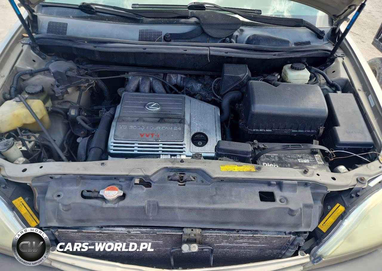 2002 Lexus Rx 300 VIN:JTJHF10U720267355 - 12