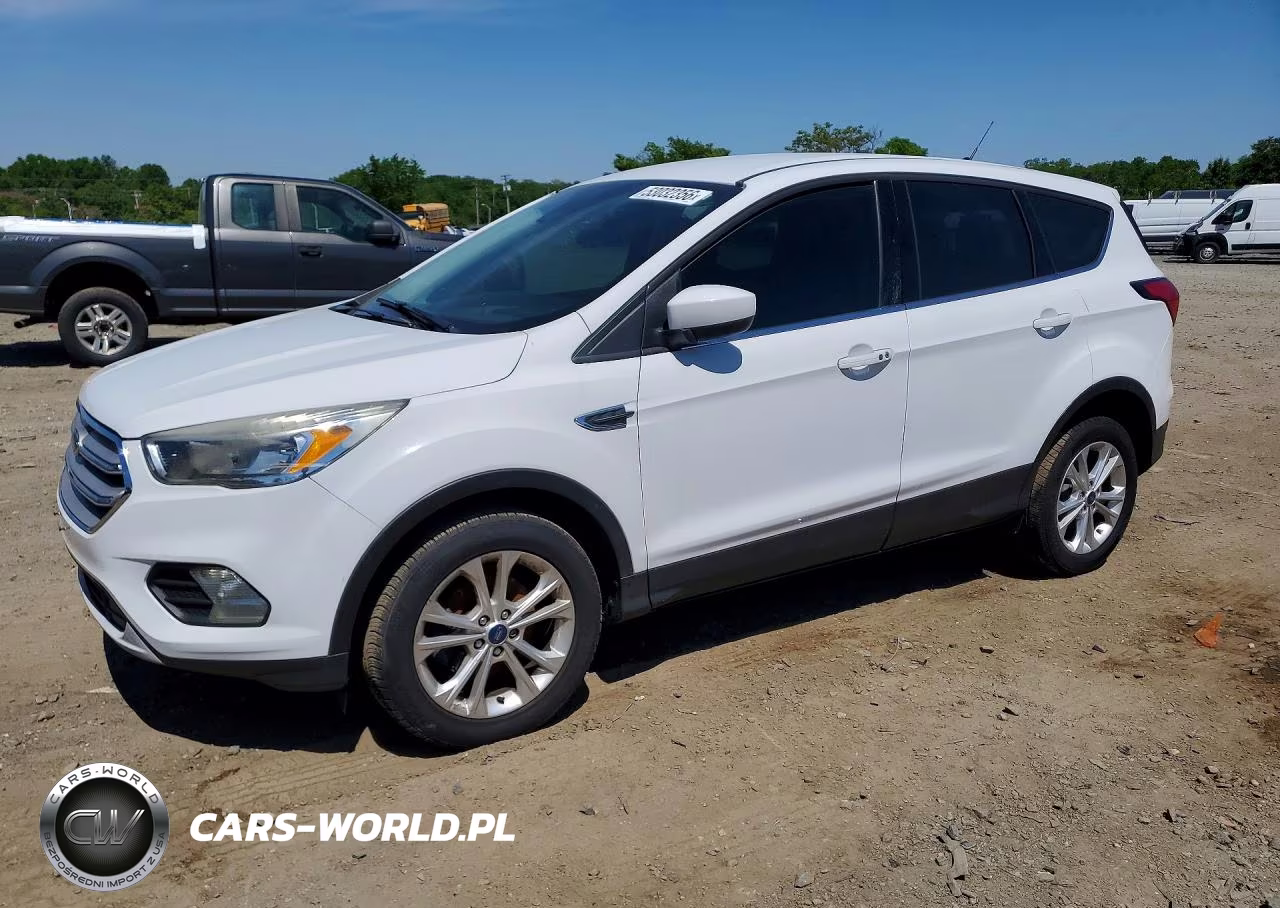 2019 Ford Escape Se