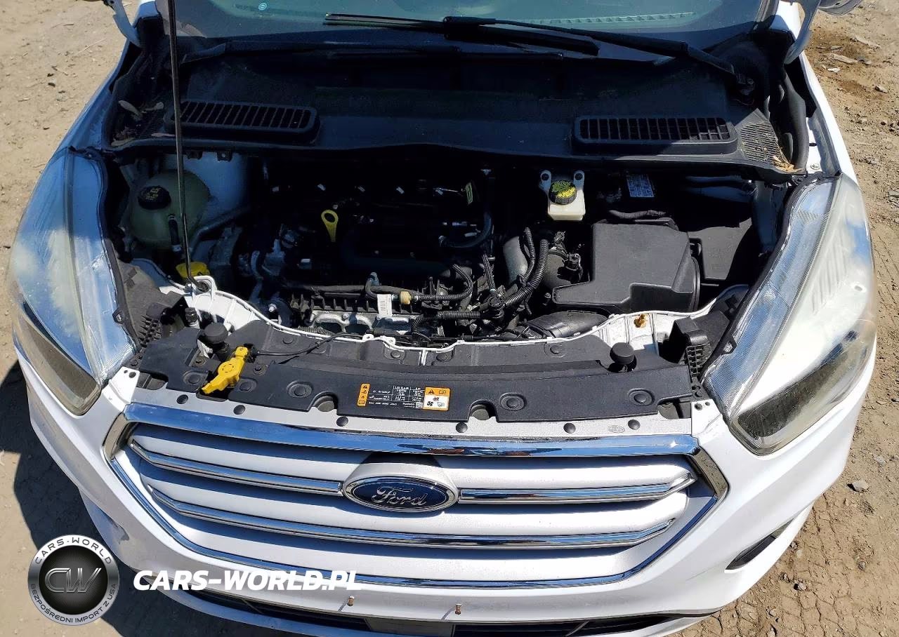 2019 Ford Escape Se VIN:1FMCU0GD0KUB38316 - 12