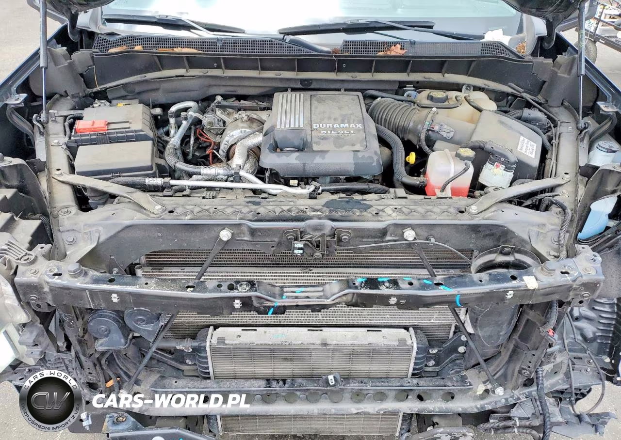 2023 Chevrolet Silverado K1500 Rst VIN:3GCUDEE85PG362025 - 11