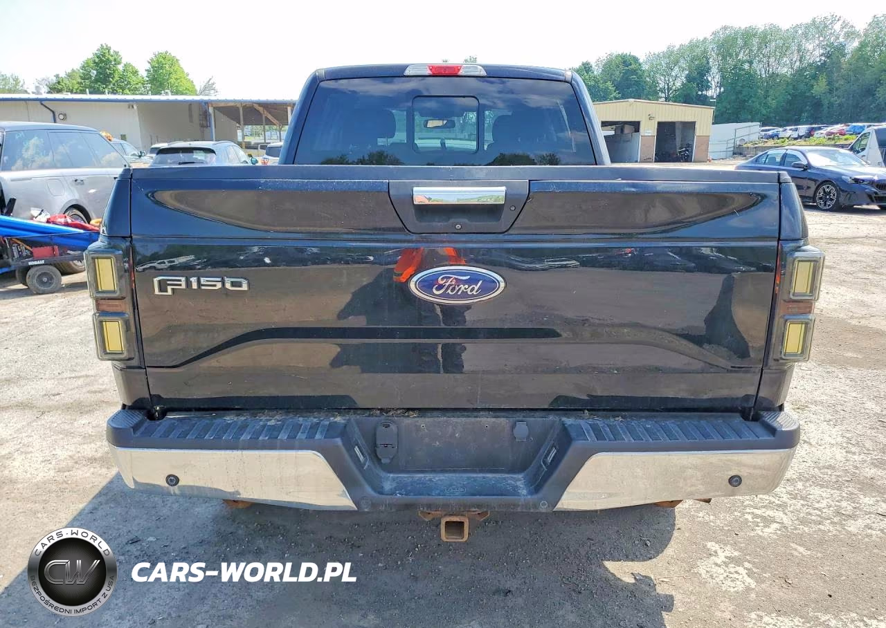 2016 Ford F150 Supercrew VIN:1FTFW1EG2GKF93153 - 6