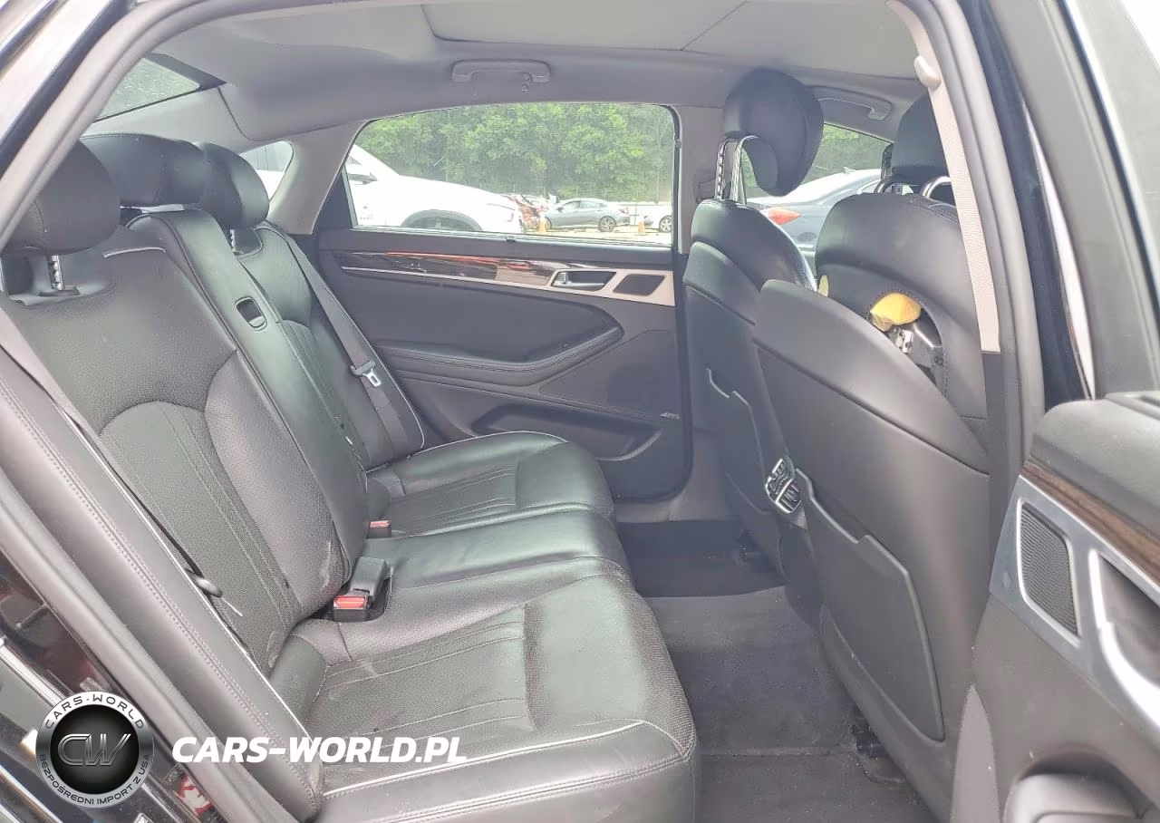 2015 Hyundai Genesis 3.8L VIN:KMHGN4JE8FU055228 - 10