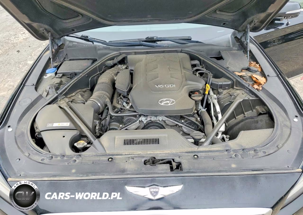 2015 Hyundai Genesis 3.8L VIN:KMHGN4JE8FU055228 - 11