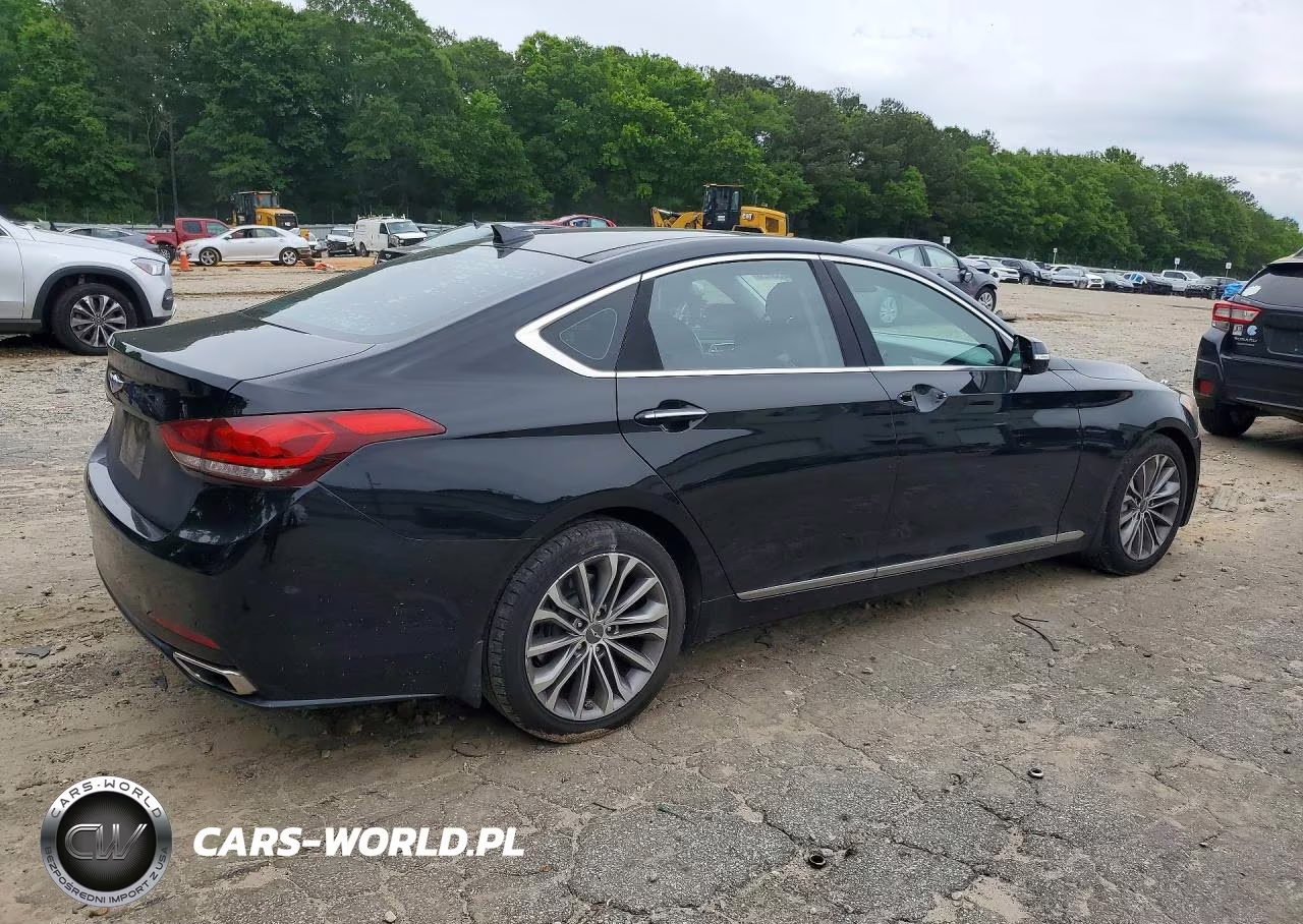 2015 Hyundai Genesis 3.8L VIN:KMHGN4JE8FU055228 - 3