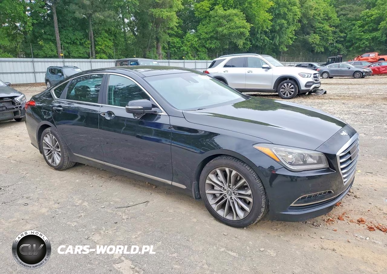 2015 Hyundai Genesis 3.8L VIN:KMHGN4JE8FU055228 - 4