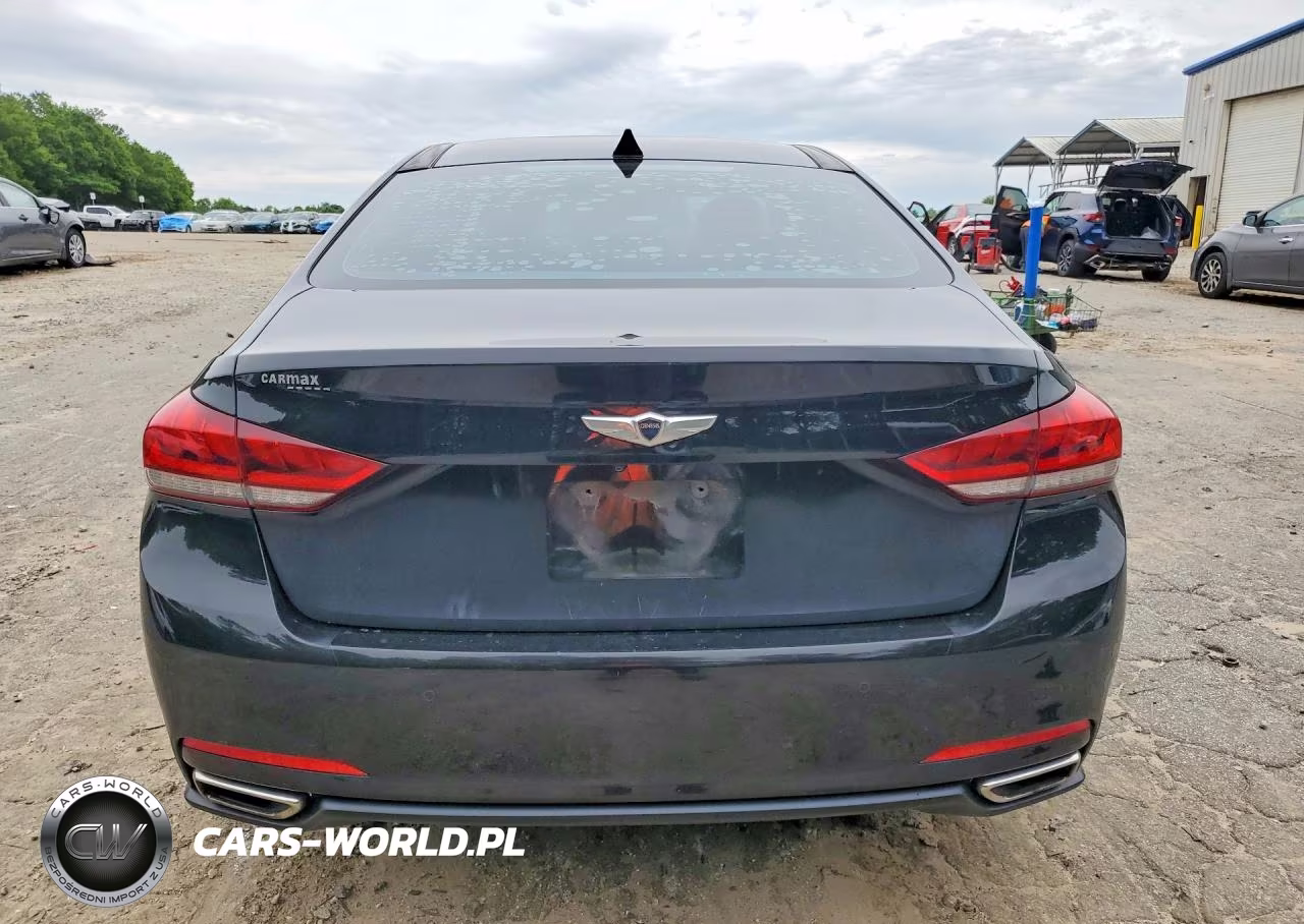 2015 Hyundai Genesis 3.8L VIN:KMHGN4JE8FU055228 - 6