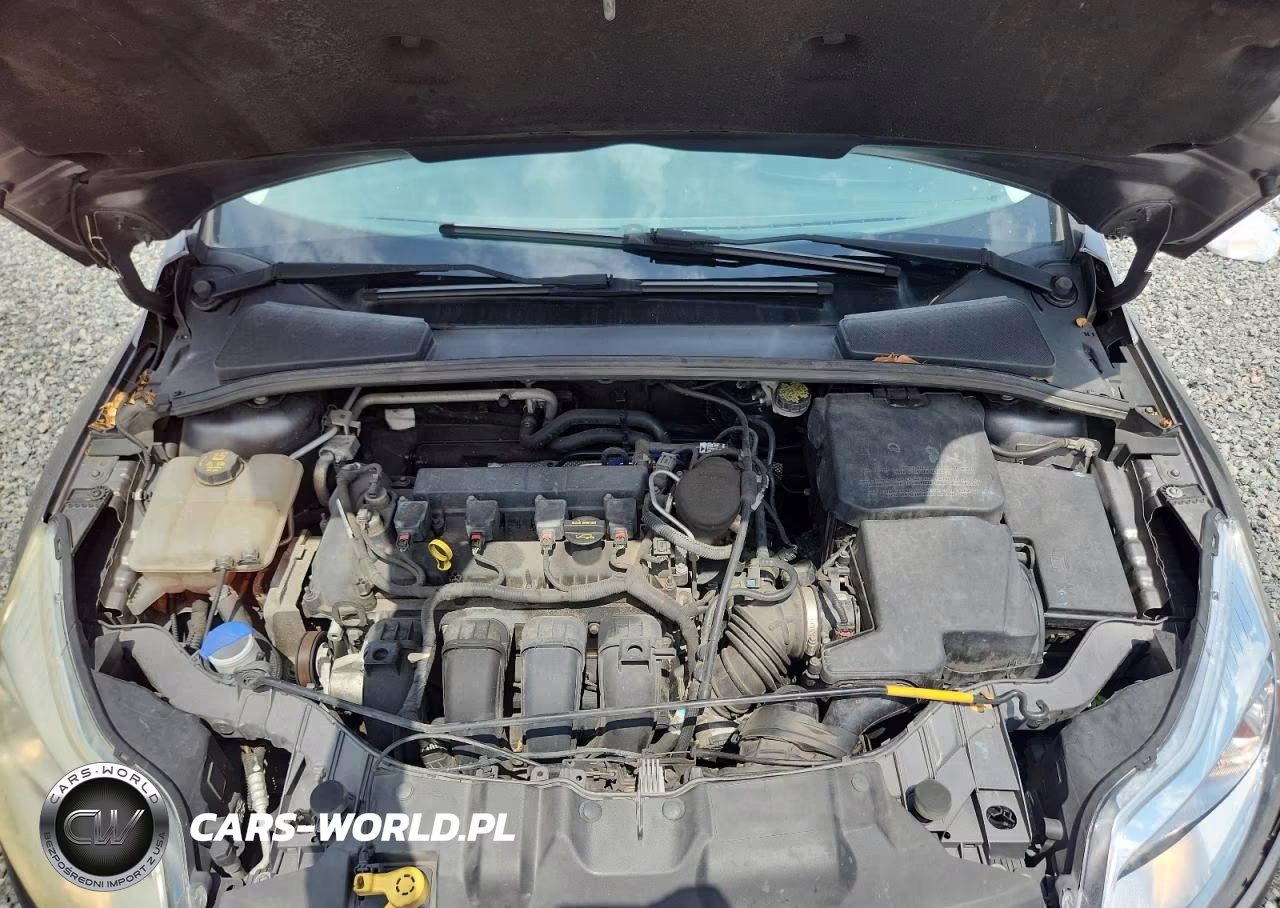 2014 Ford Focus Se VIN:1FADP3F25EL173144 - 11