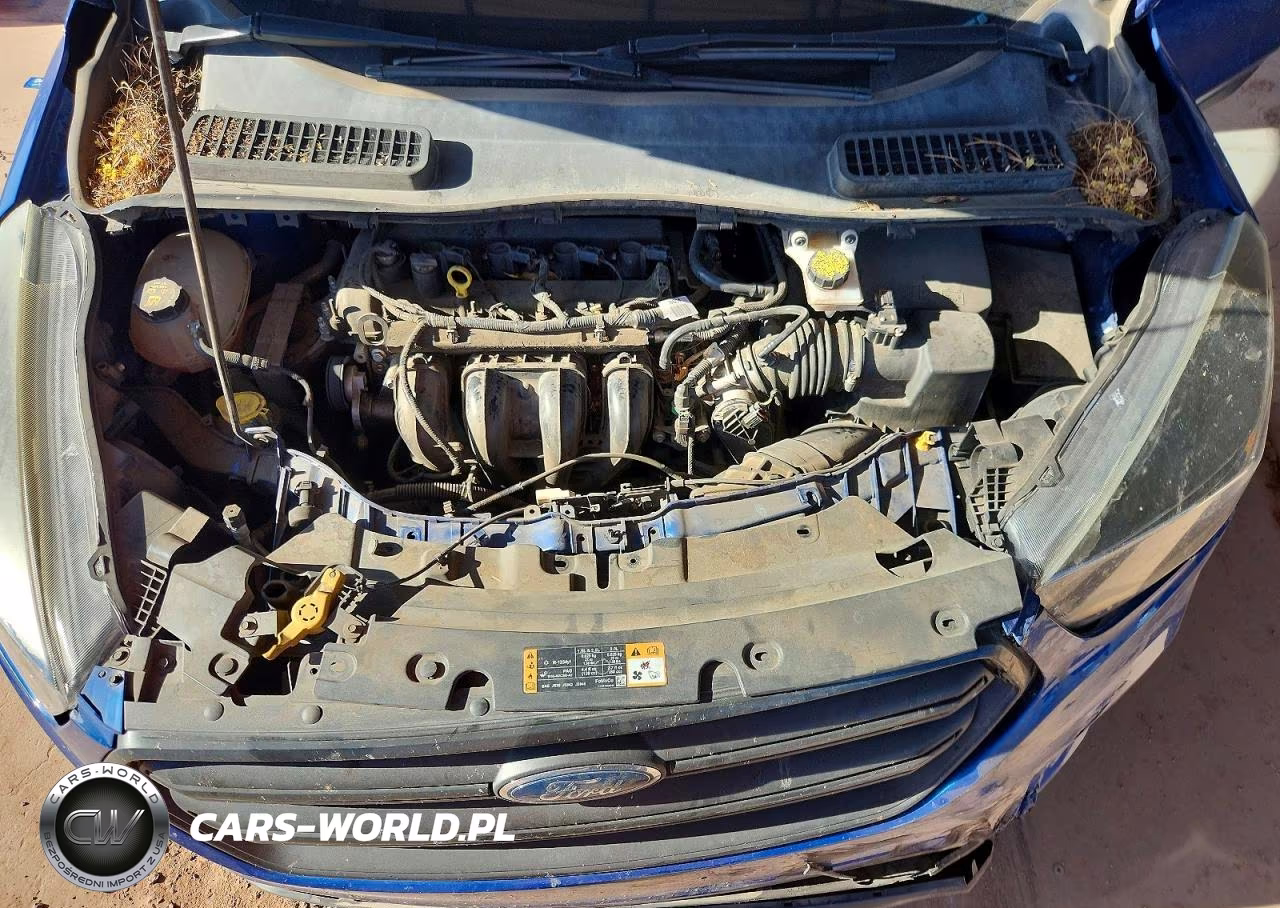 2018 Ford Escape S VIN:1FMCU0F74JUC35996 - 12