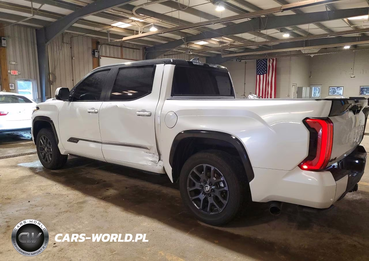 2025 Toyota Tundra Platinum Hv VIN:5TFNC5DB9SX107385 - 2