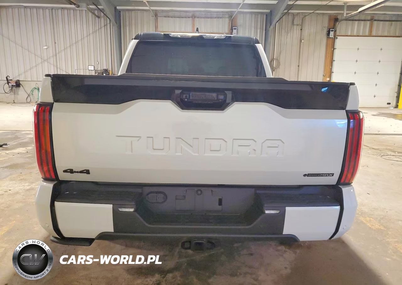 2025 Toyota Tundra Platinum Hv VIN:5TFNC5DB9SX107385 - 6