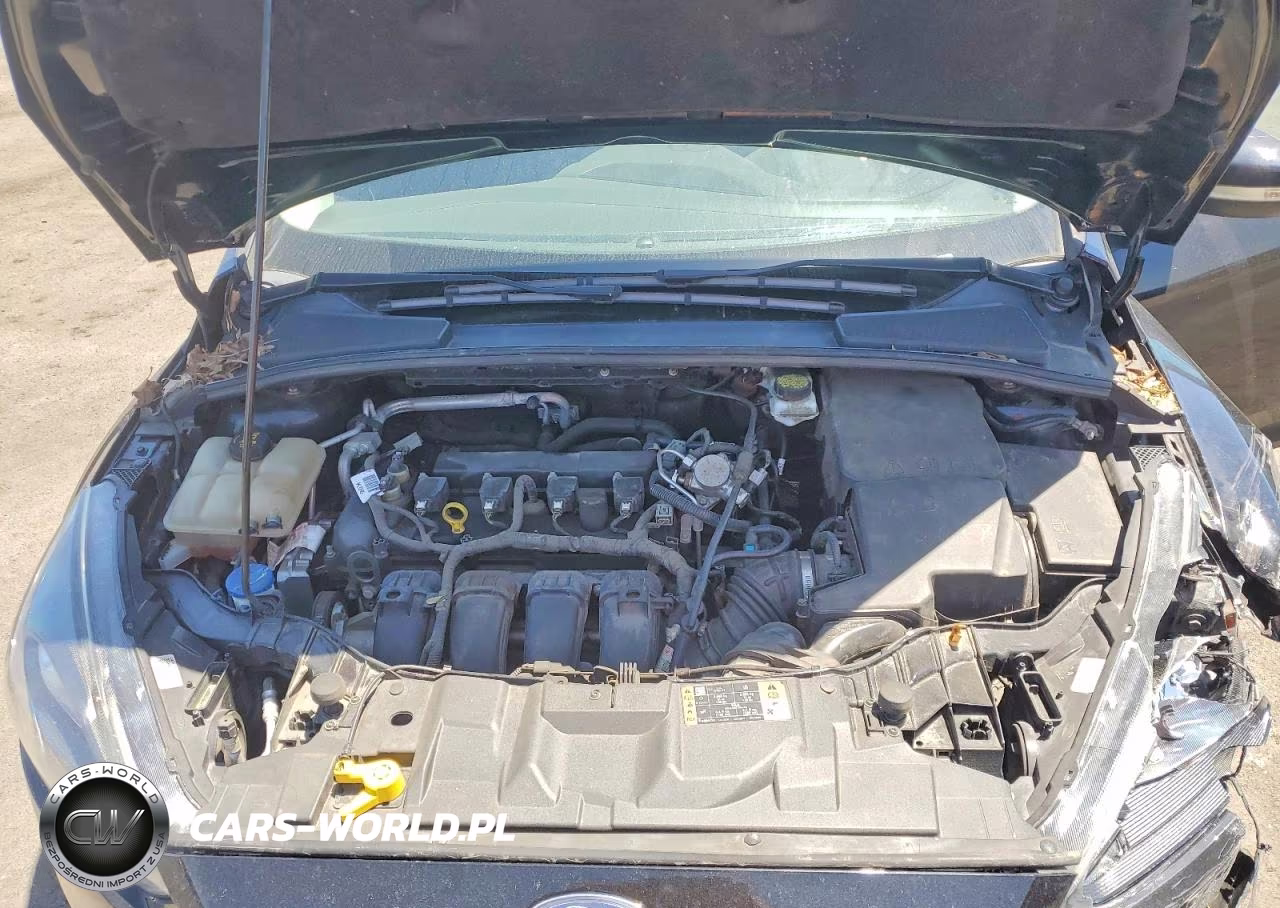 2018 Ford Focus Sel VIN:1FADP3H24JL221370 - 11