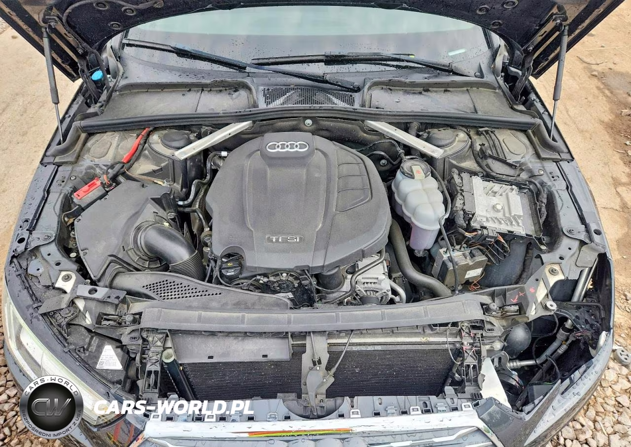 2019 Audi A4 Premium Plus VIN:WAUENAF47KA080026 - 11