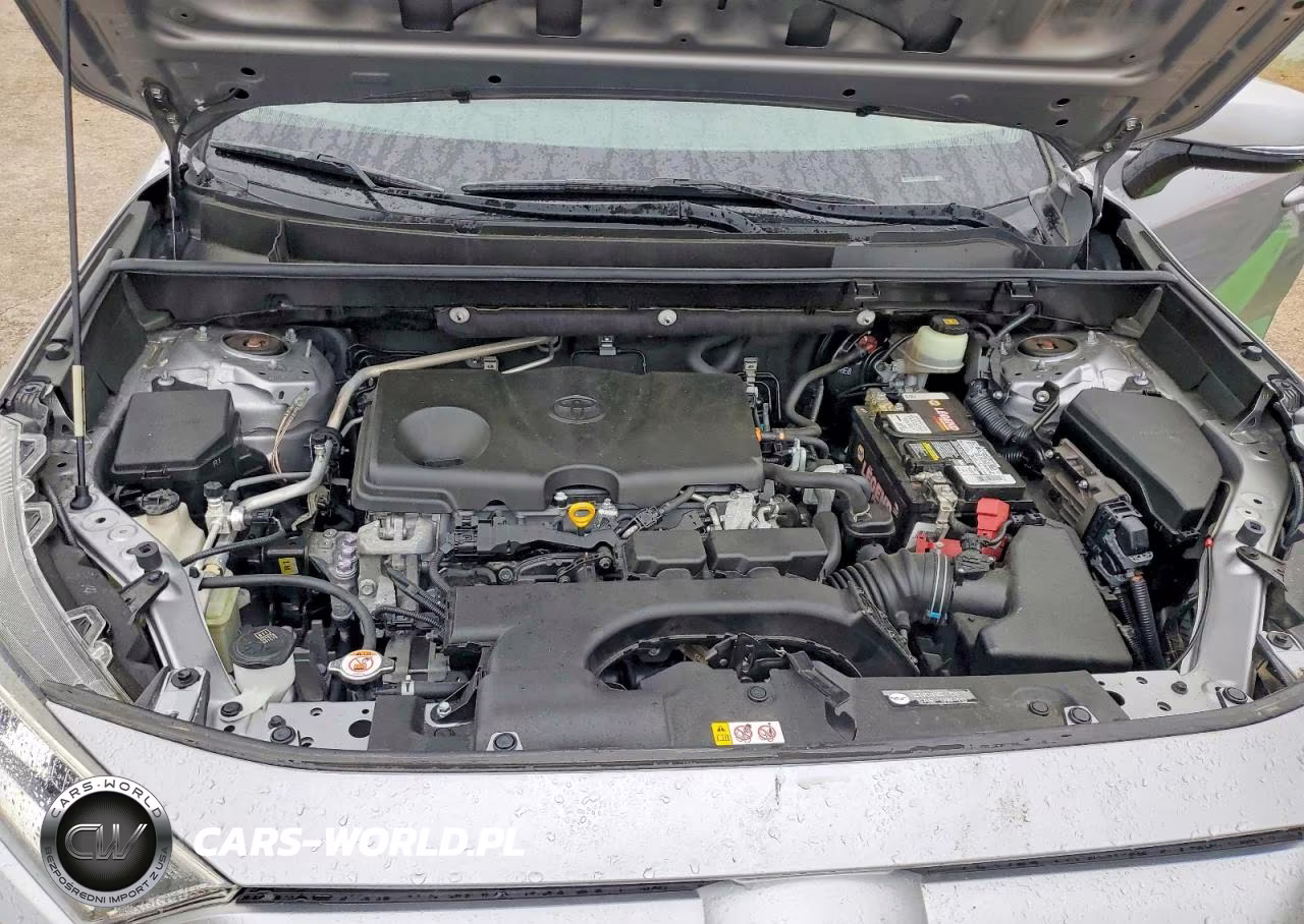 2019 Toyota Rav4 Xle VIN:JTMW1RFV6KD020229 - 12