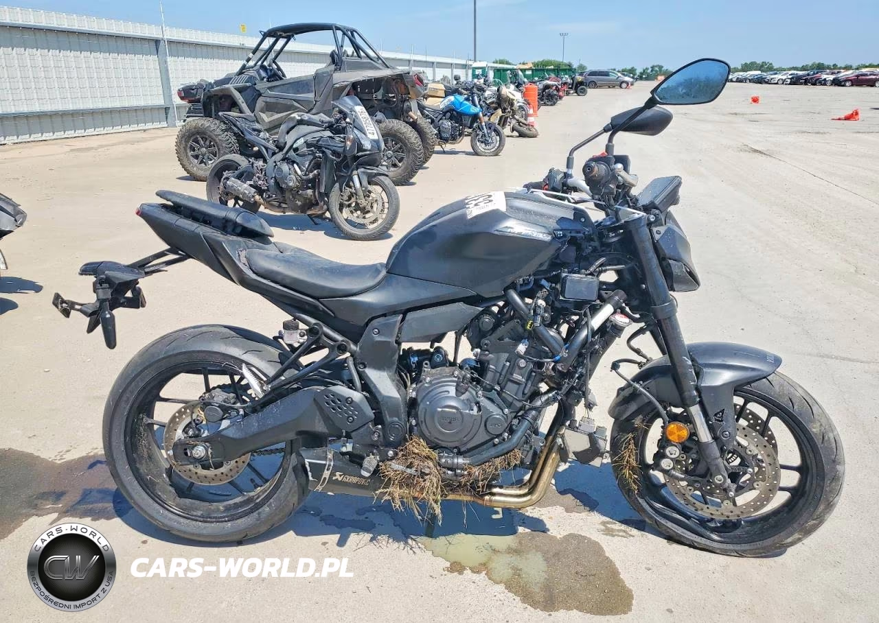 2025 Yamaha Mtn690