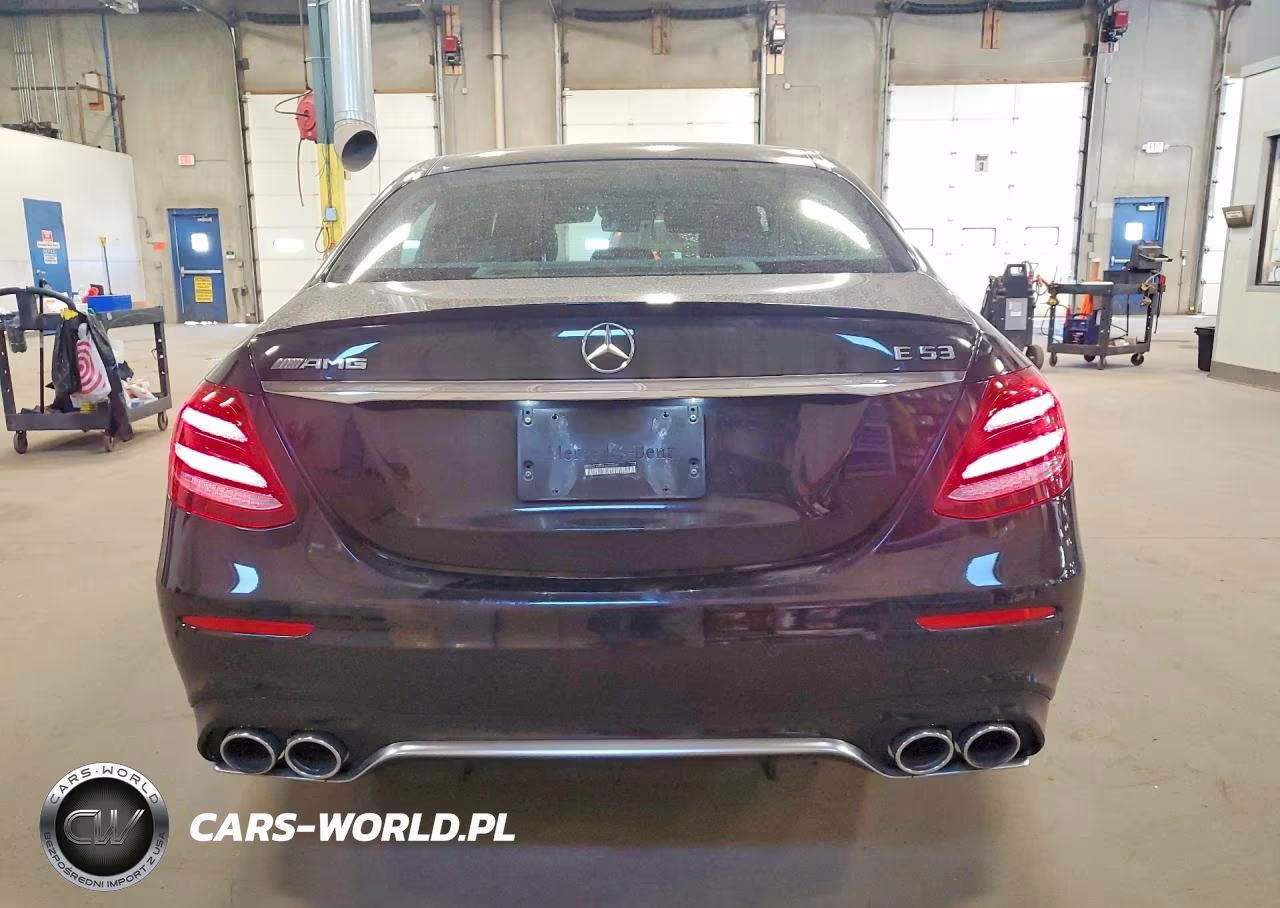 2019 Mercedes-Benz E Amg 53 4Matic VIN:WDDZF6BB3KA490492 - 6