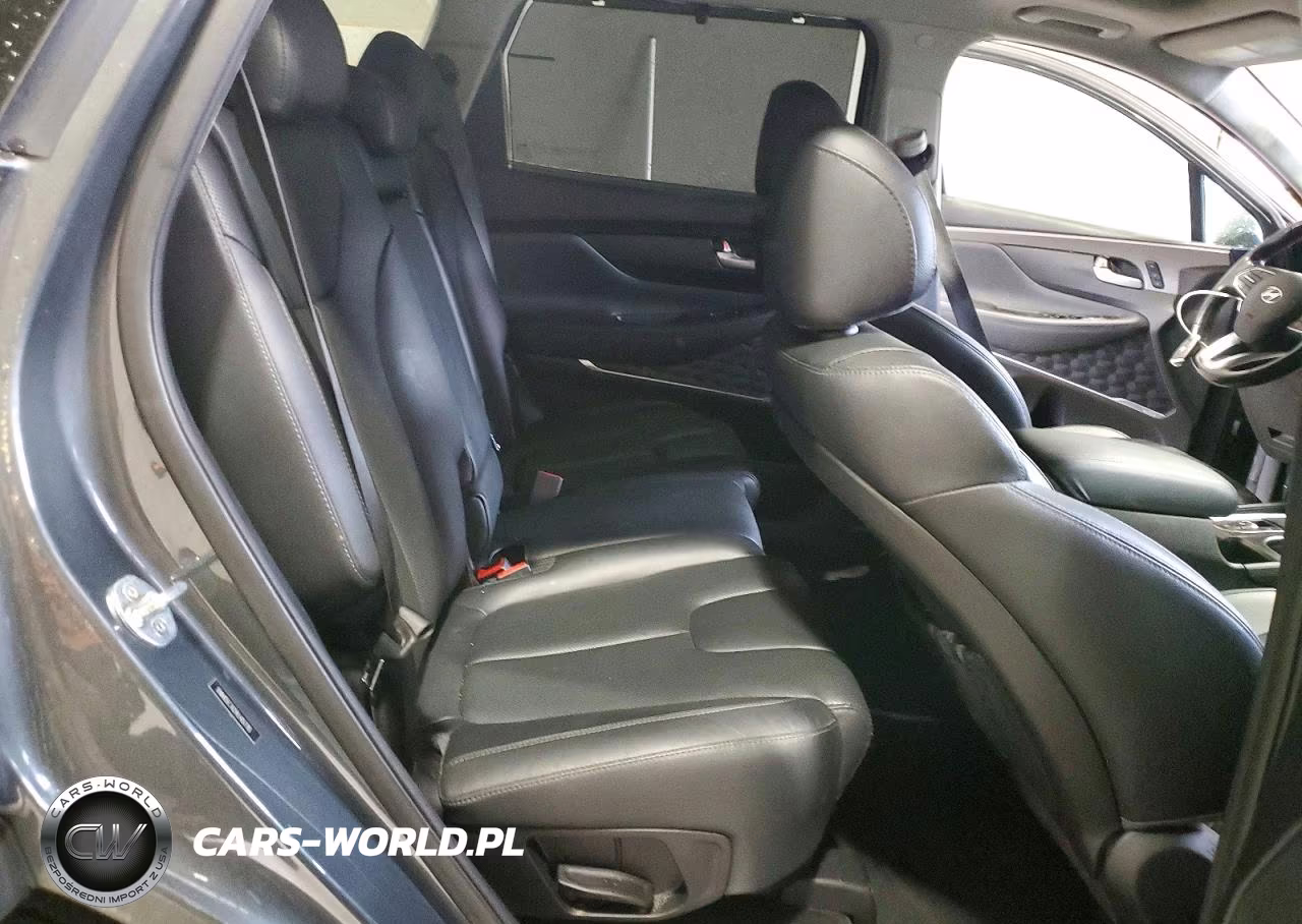2020 Hyundai Santa Fe Limited VIN:5NMS5CAD9LH157785 - 11