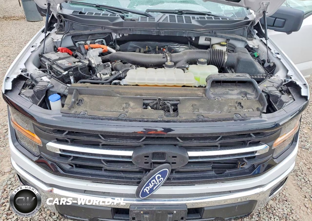 2024 Ford F150 VIN:1FTFW3LD9RFA84855 - 11