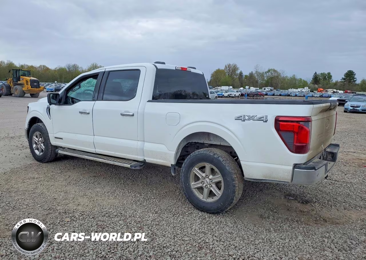 2024 Ford F150 VIN:1FTFW3LD9RFA84855 - 2
