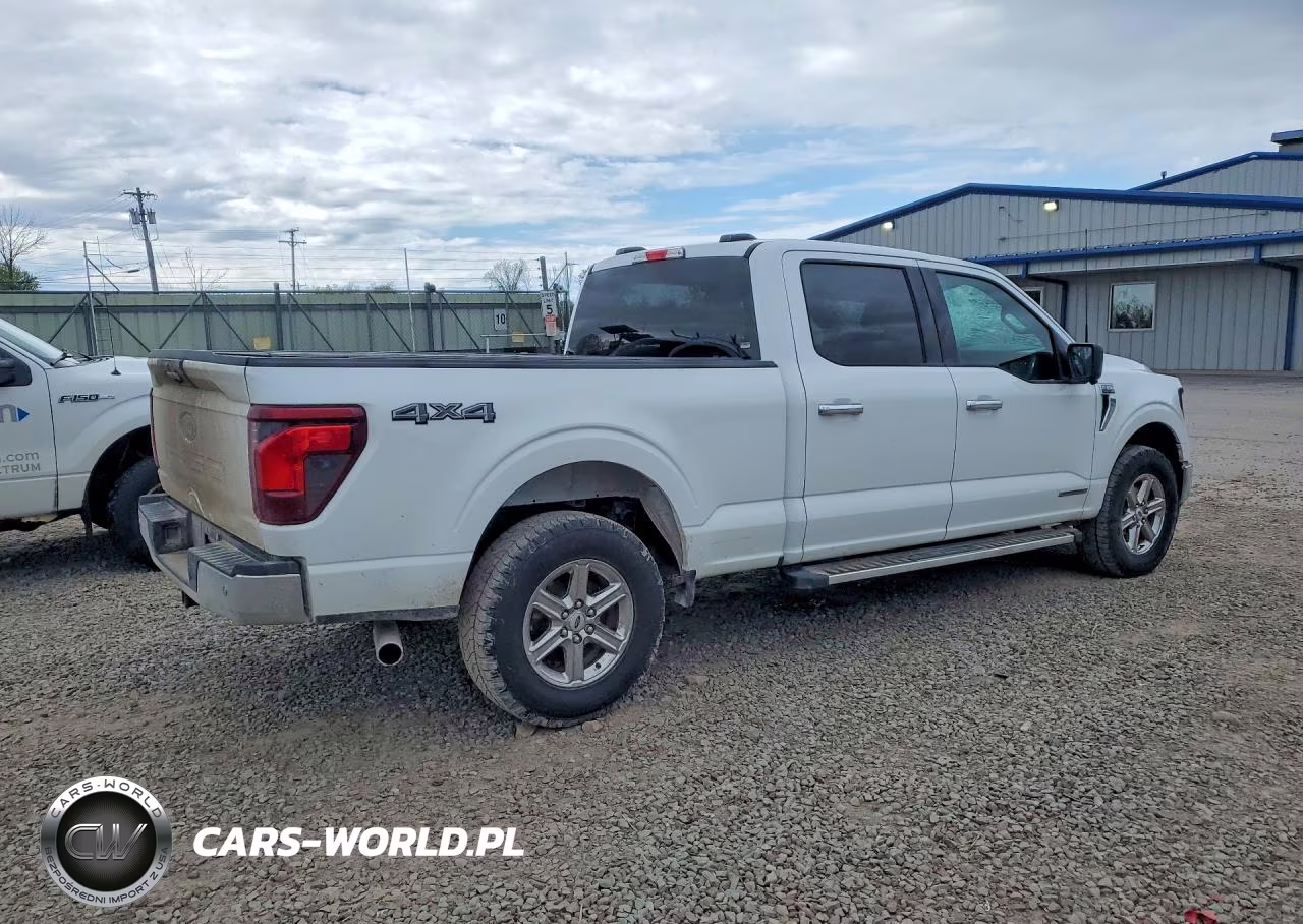 2024 Ford F150 VIN:1FTFW3LD9RFA84855 - 3