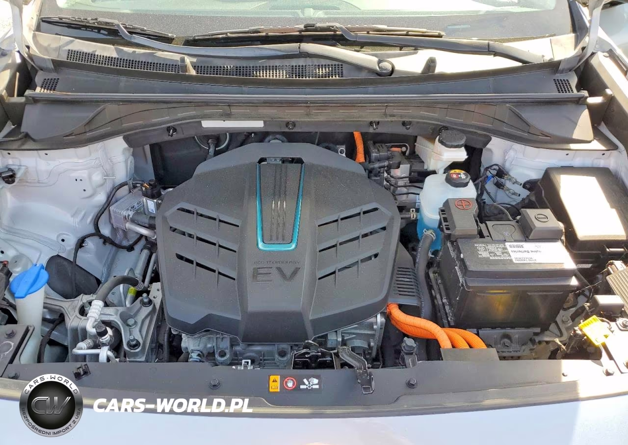 2019 Kia Niro Ex Premium VIN:KNDCE3LG2K5017512 - 11