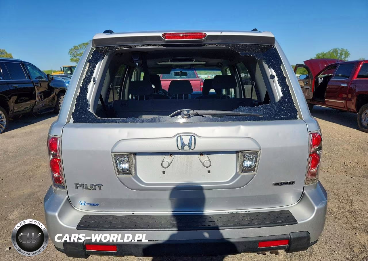 2008 Honda Pilot Se VIN:5FNYF18378B054303 - 6