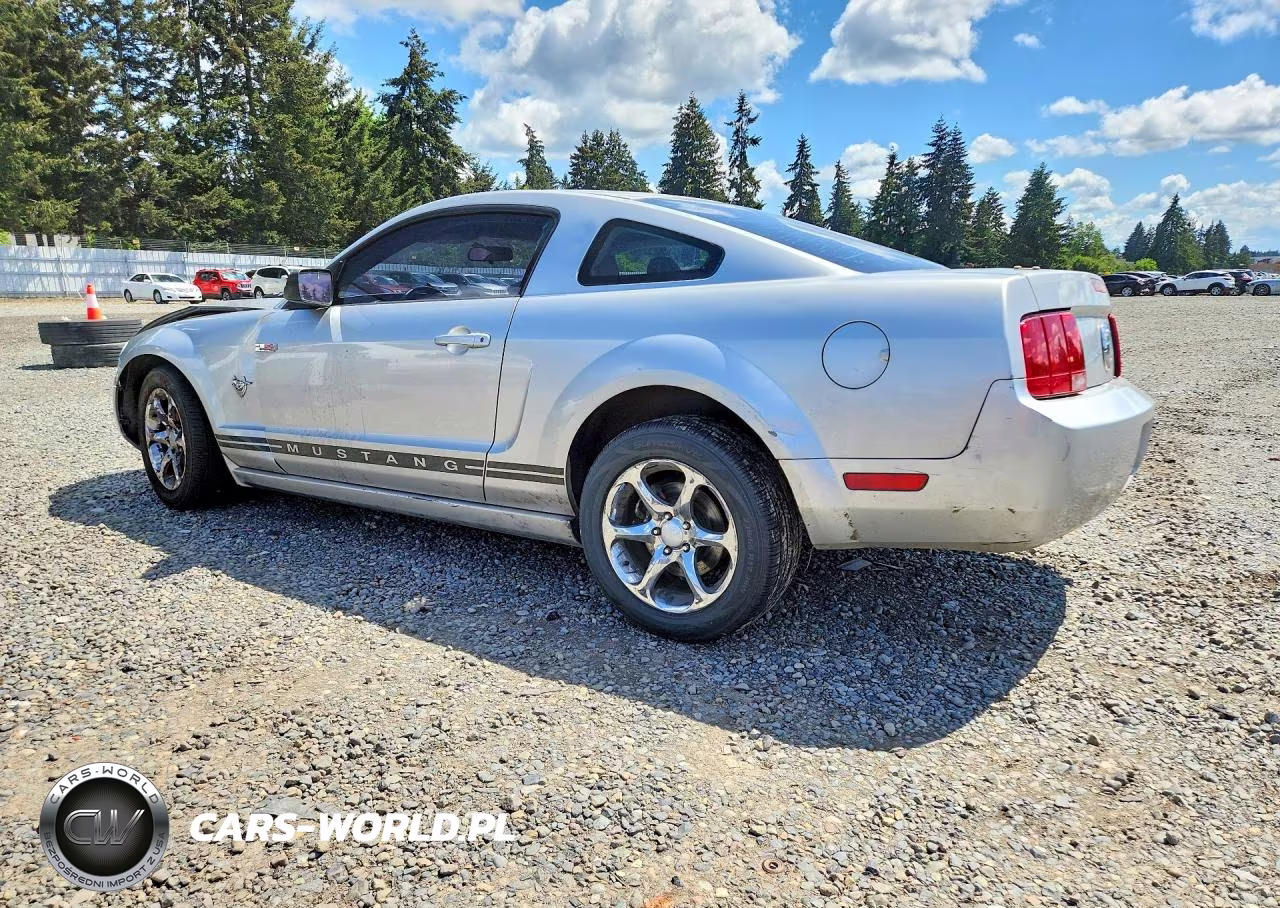 2009 Ford Mustang VIN:1ZVHT80N295100330 - 2