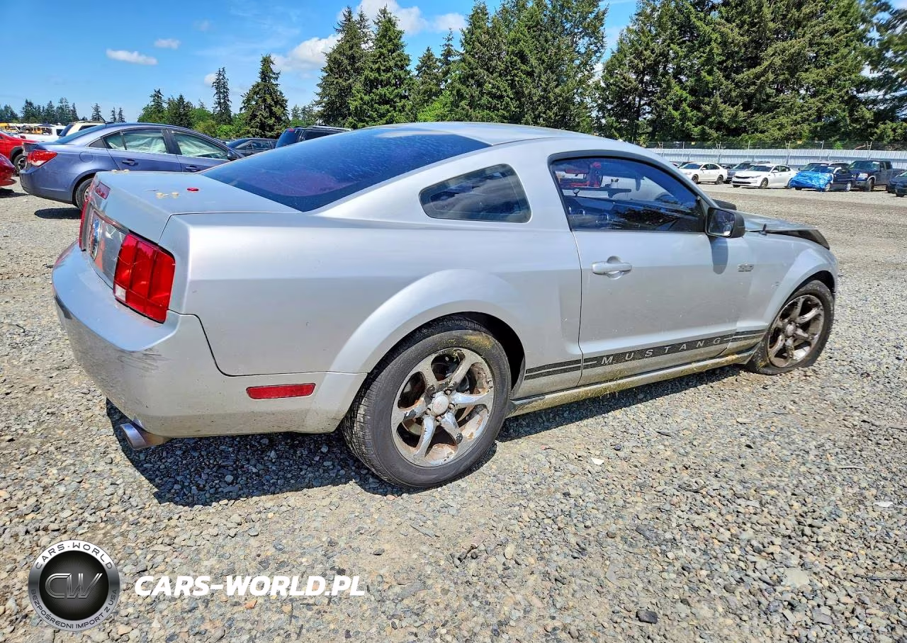 2009 Ford Mustang VIN:1ZVHT80N295100330 - 3