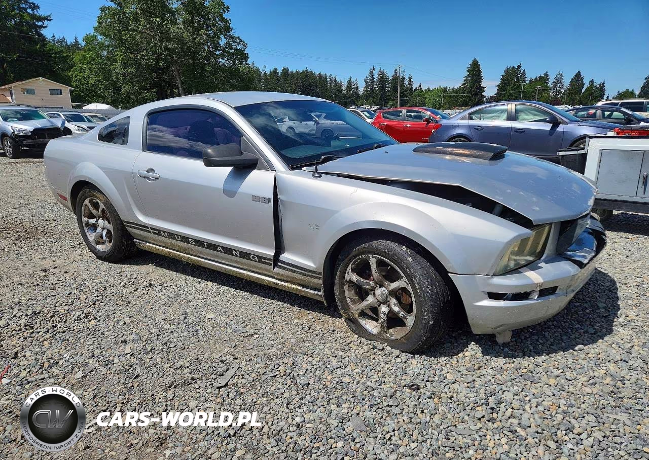 2009 Ford Mustang VIN:1ZVHT80N295100330 - 4