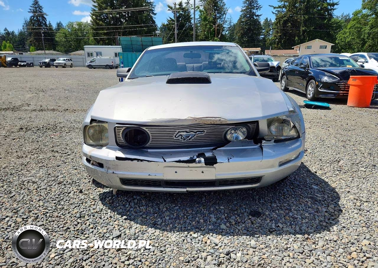 2009 Ford Mustang VIN:1ZVHT80N295100330 - 5