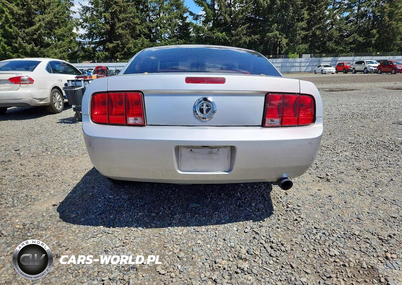 2009 Ford Mustang VIN:1ZVHT80N295100330 - 6