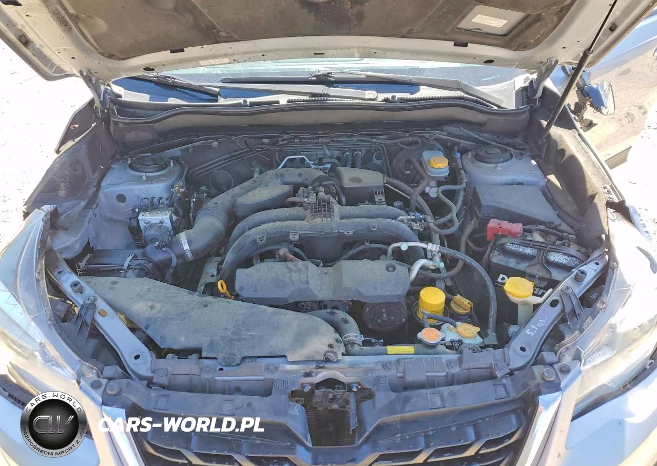 2017 Subaru Forester 2.5I Premium VIN:JF2SJAEC6HH486021 - 12