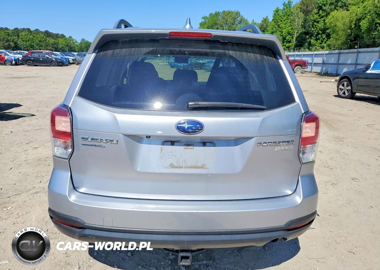 2017 Subaru Forester 2.5I Premium VIN:JF2SJAEC6HH486021 - 6