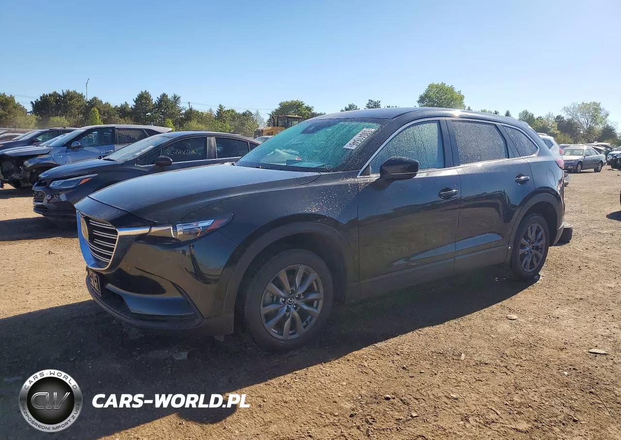 2020 Mazda Cx-9 Sport VIN:JM3TCBBY8L0411435 - 1