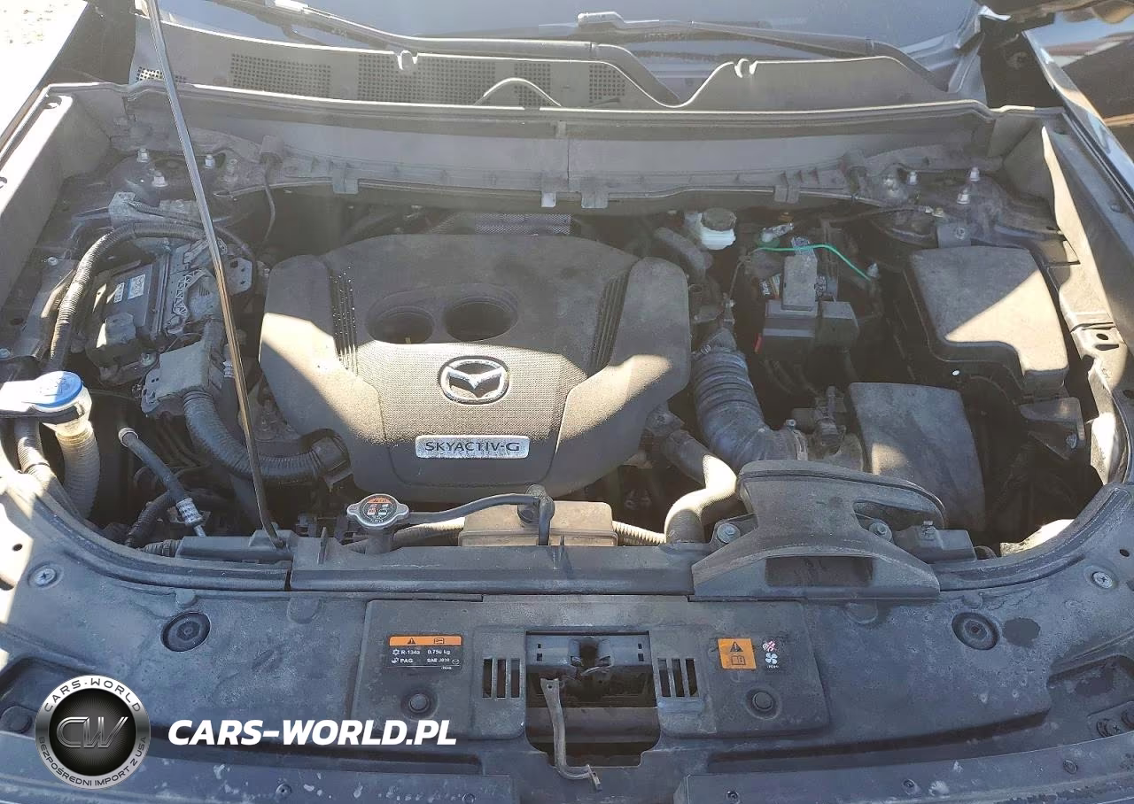 2020 Mazda Cx-9 Sport VIN:JM3TCBBY8L0411435 - 11