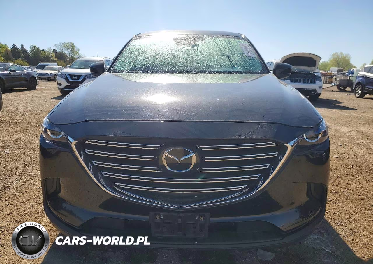 2020 Mazda Cx-9 Sport VIN:JM3TCBBY8L0411435 - 5