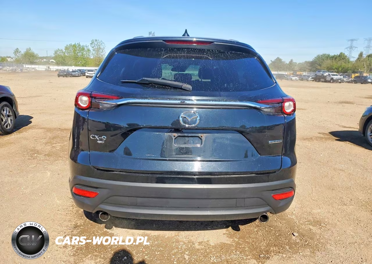 2020 Mazda Cx-9 Sport VIN:JM3TCBBY8L0411435 - 6