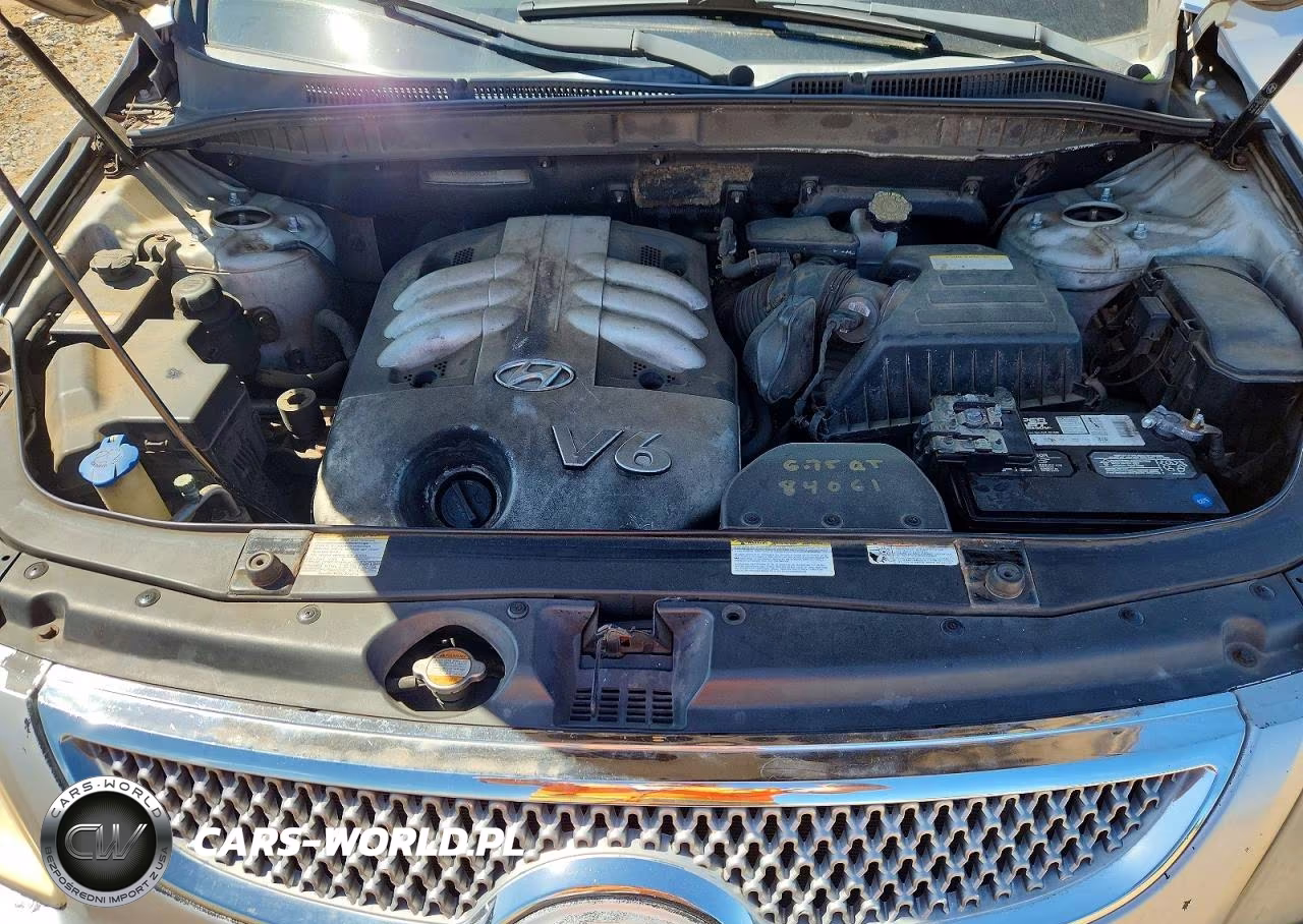2007 Hyundai Veracruz Gls VIN:KM8NU13C97U013737 - 12