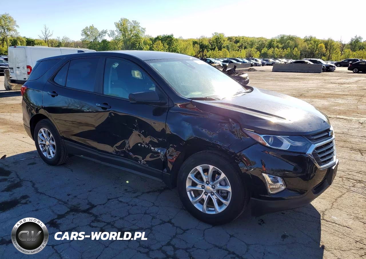 2020 Chevrolet Equinox Ls VIN:2GNAXSEV9L6224984 - 4