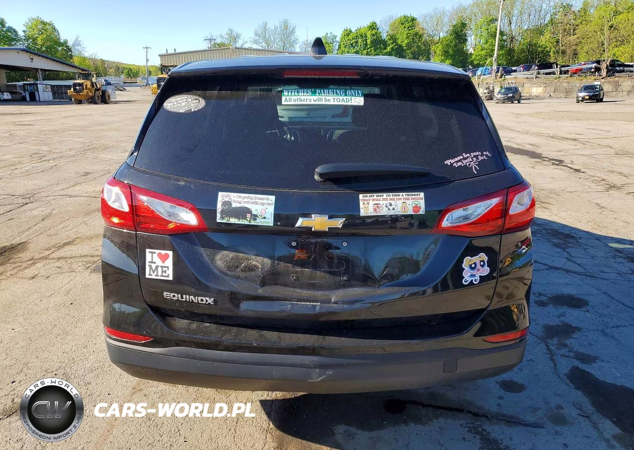 2020 Chevrolet Equinox Ls VIN:2GNAXSEV9L6224984 - 6