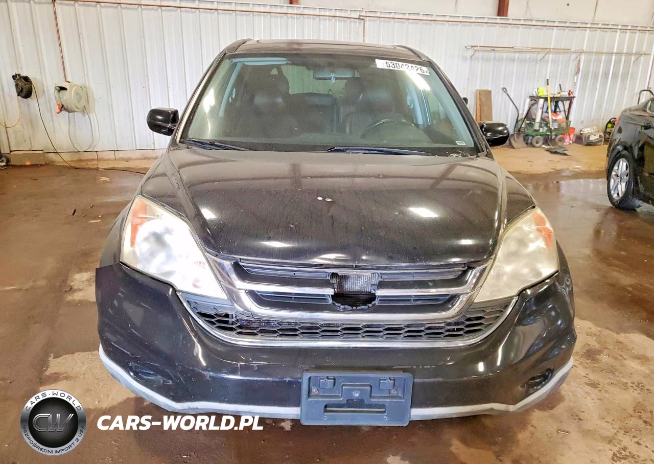 2010 Honda Cr-V Exl VIN:5J6RE4H77AL803402 - 5