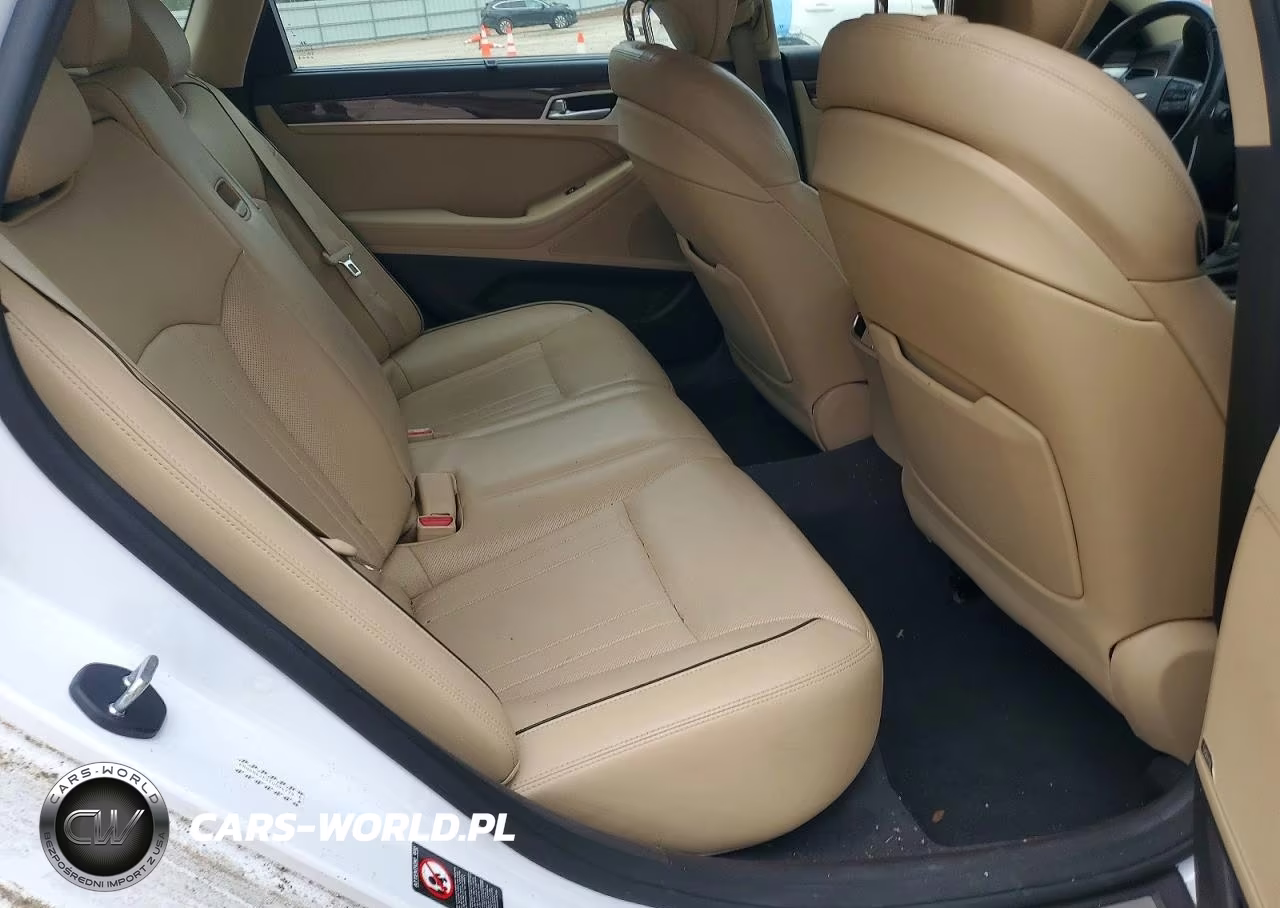 2015 Hyundai Genesis 3.8L VIN:KMHGN4JE9FU094779 - 10