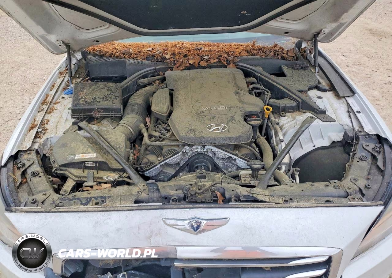 2015 Hyundai Genesis 3.8L VIN:KMHGN4JE9FU094779 - 11