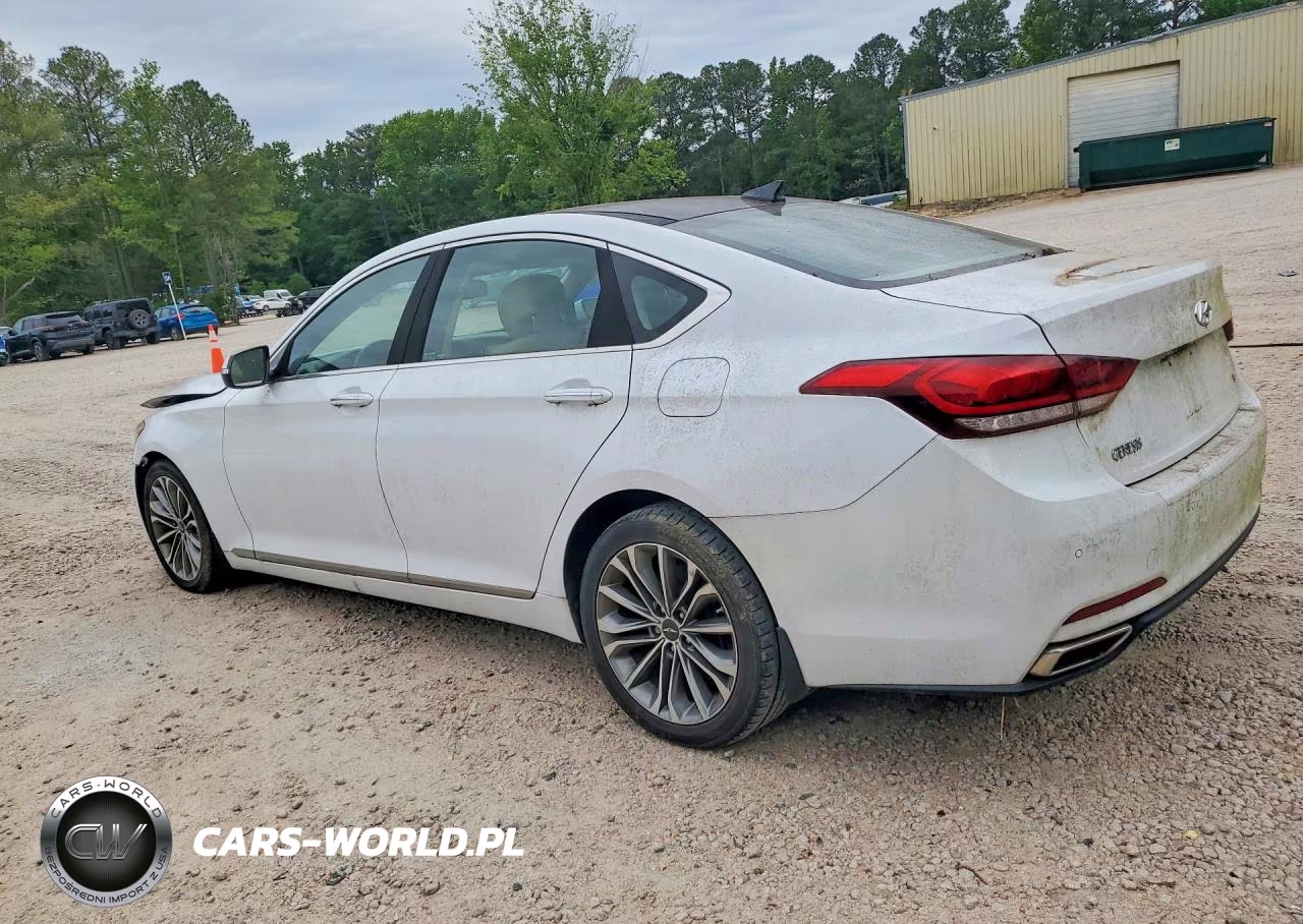 2015 Hyundai Genesis 3.8L VIN:KMHGN4JE9FU094779 - 2