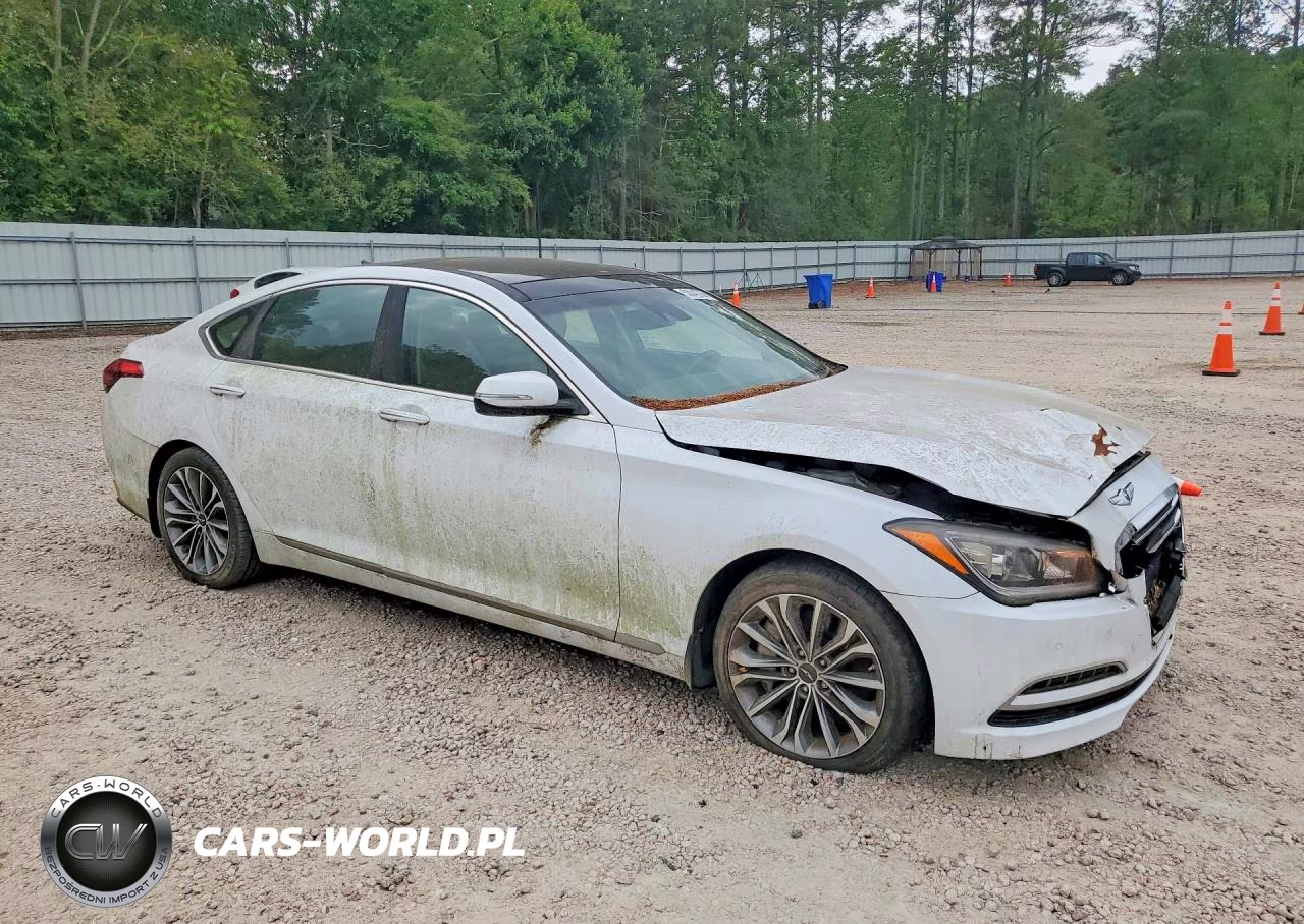 2015 Hyundai Genesis 3.8L VIN:KMHGN4JE9FU094779 - 4