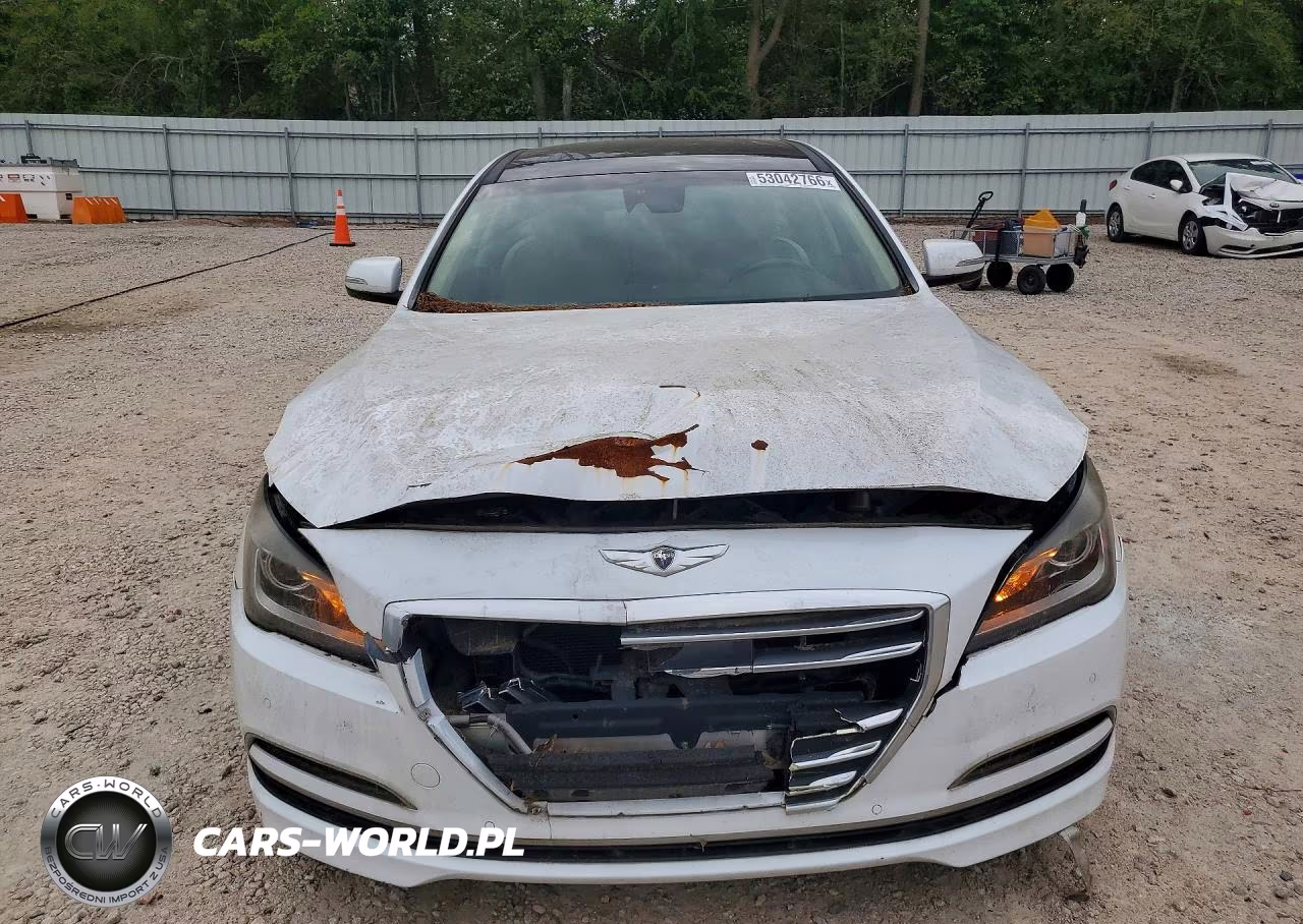 2015 Hyundai Genesis 3.8L VIN:KMHGN4JE9FU094779 - 5