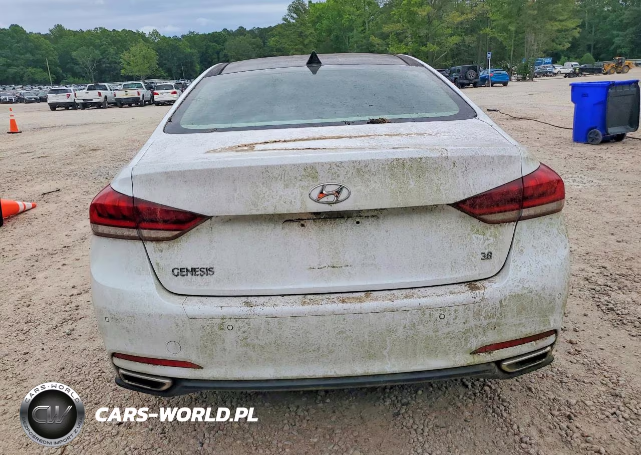 2015 Hyundai Genesis 3.8L VIN:KMHGN4JE9FU094779 - 6