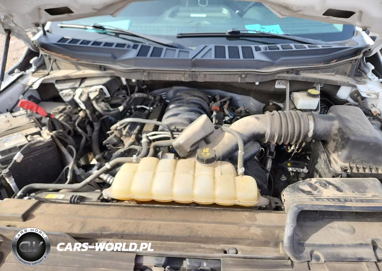 2023 Ford F150 Supercrew VIN:1FTEW1C59PKE35681 - 11