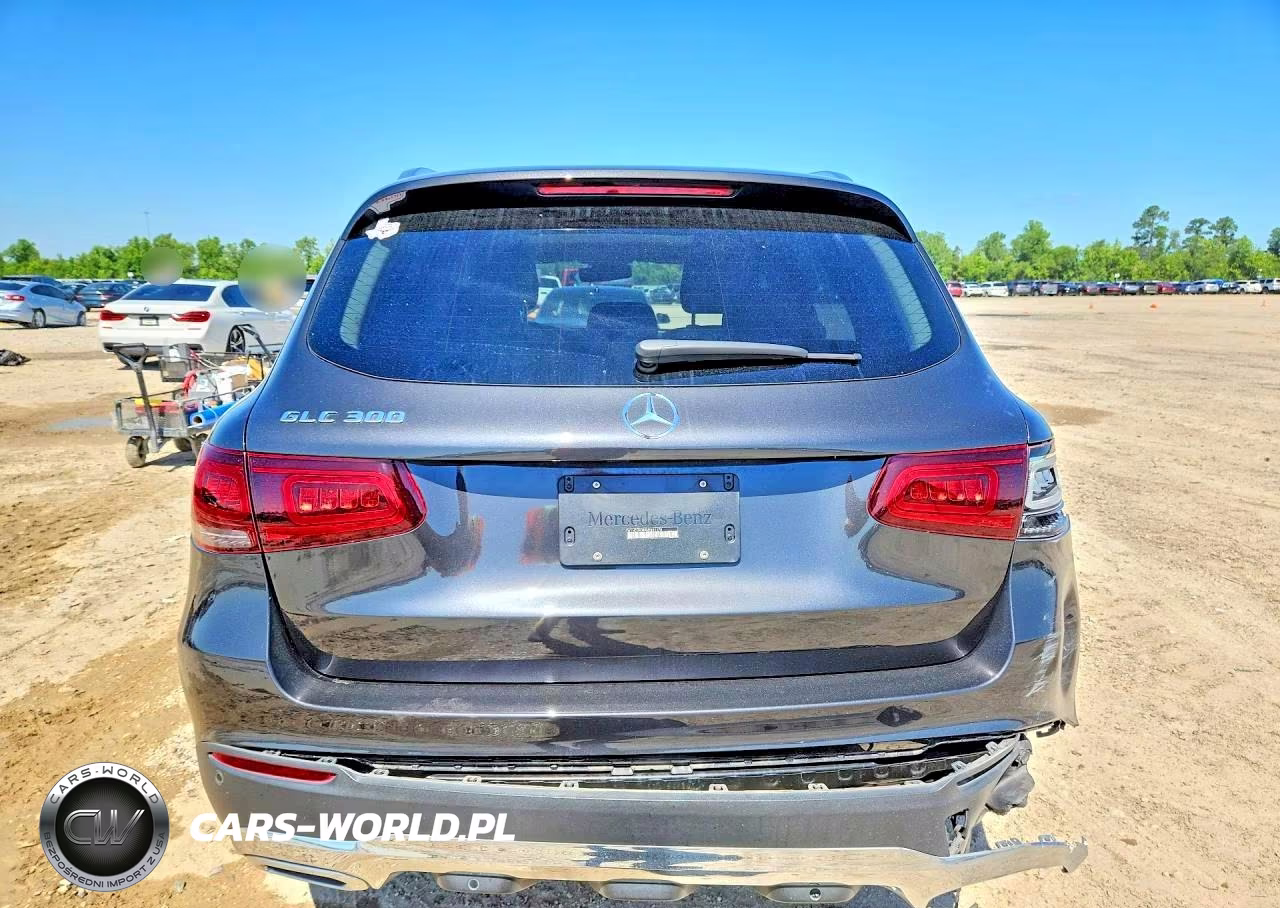 2021 Mercedes-Benz Glc 300 VIN:W1N0G8DB9MF891178 - 6